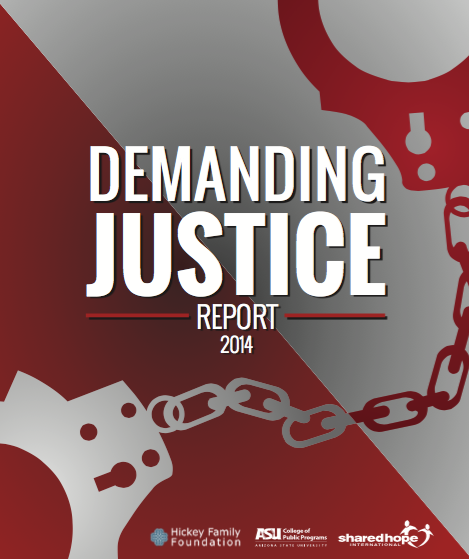 Demanding Justice Report - 2014